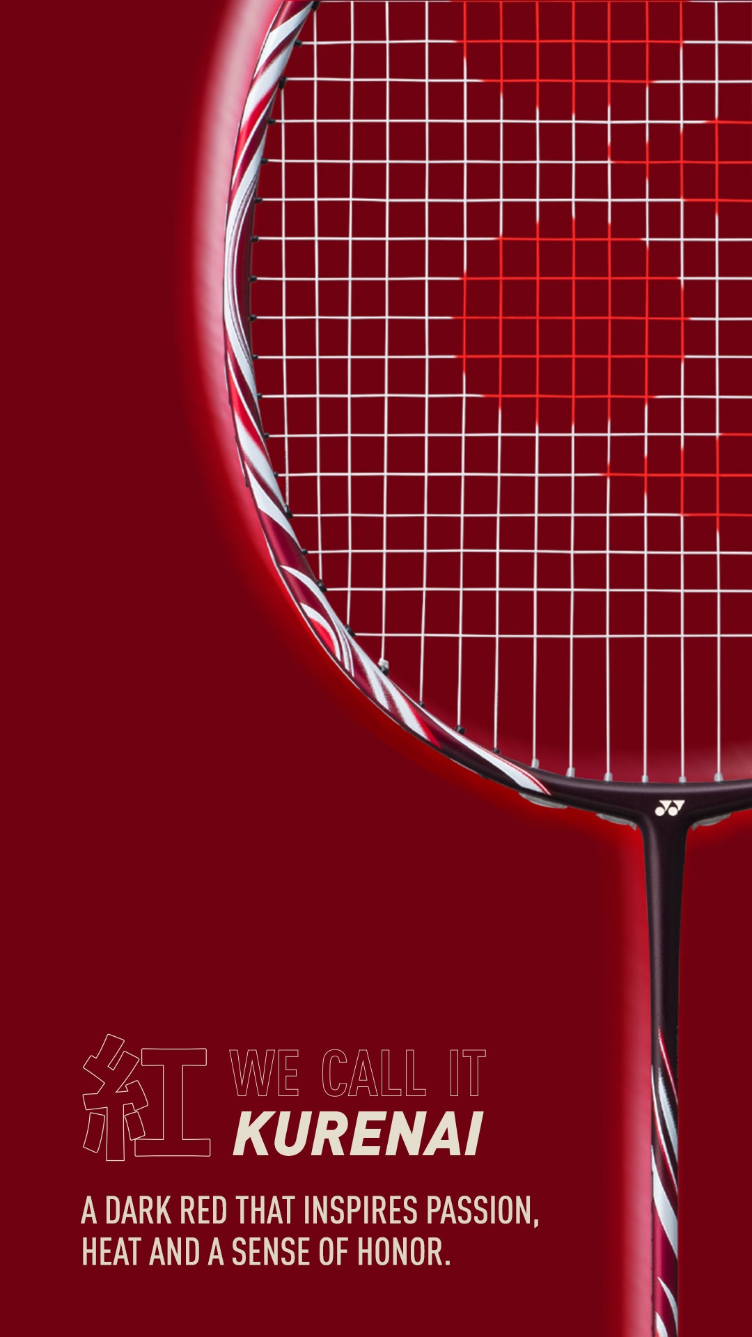 ASTROX 100 TOUR - Image 4